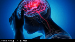 [Science] 睡眠の効用＿脳では代謝老廃物を洗い流している